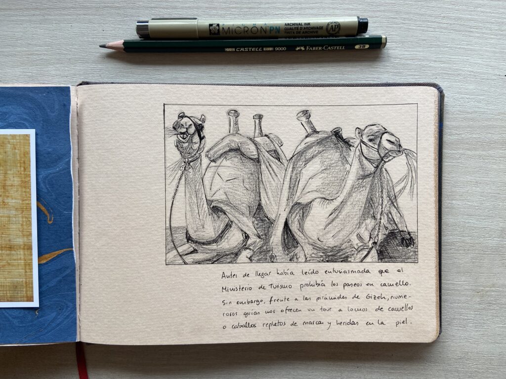 cuaderno camellos egipto
