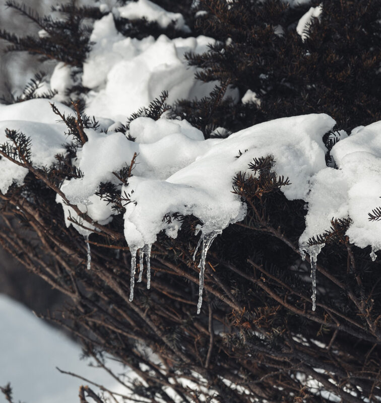 Japón nevado