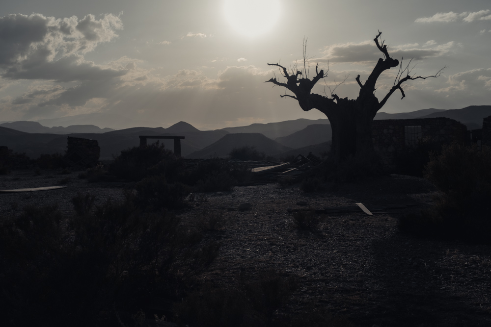 fotografía desierto Alba Cid