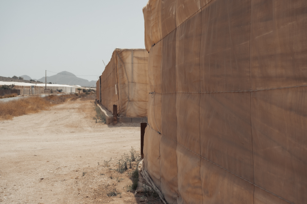 fotografía desierto Alba Cid