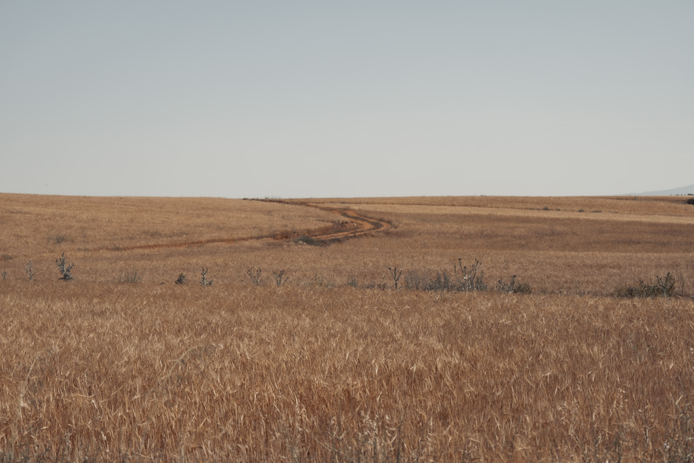 fotografía desierto Alba Cid