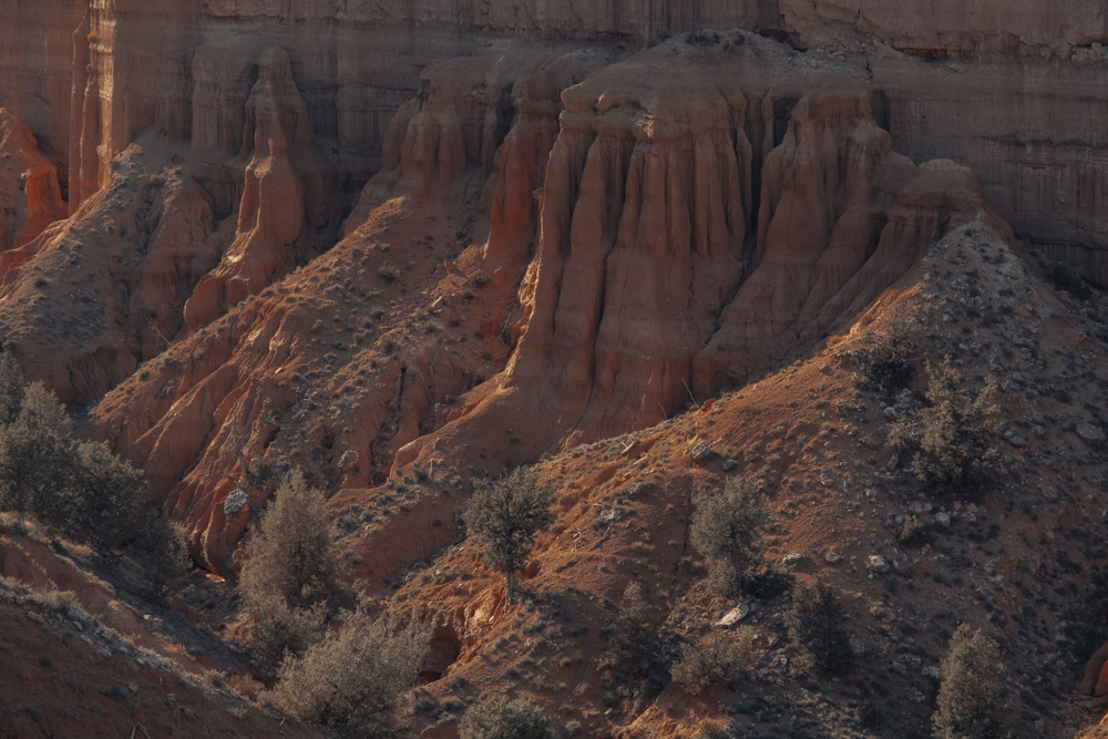 fotografía desierto Alba Cid