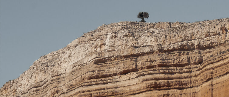 desierto Alba Cid