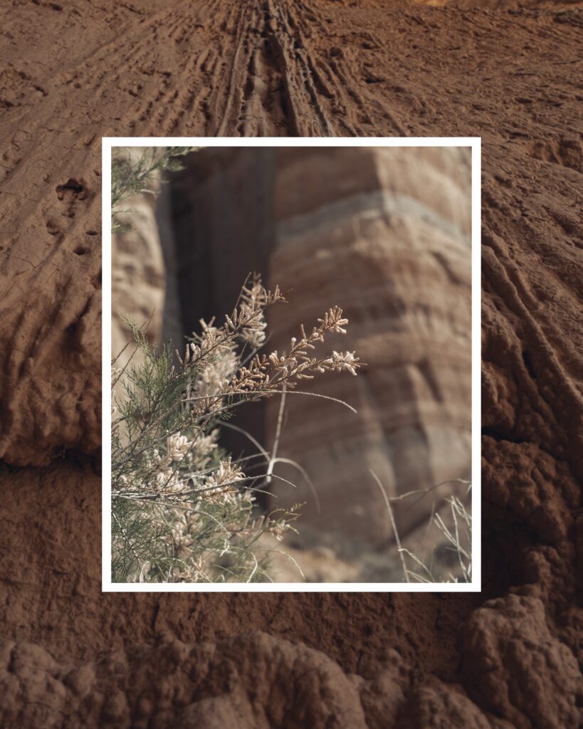 desierto y agua