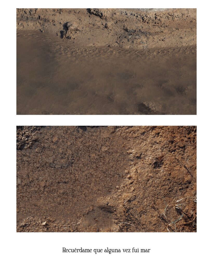 desierto y agua