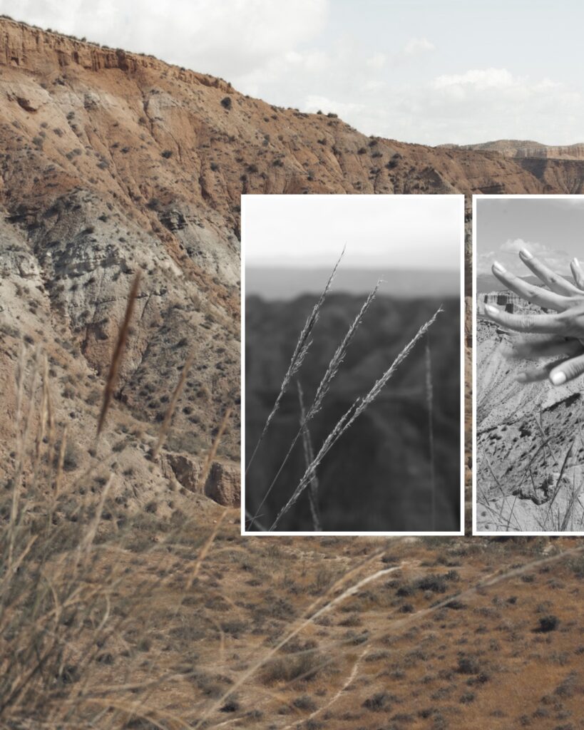 desierto y agua