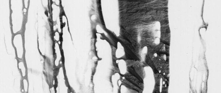 fotografía analógica conceptual y poética intervenida en cuarto oscuro